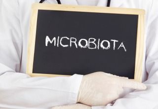 The forgotten organ – Human microbiota