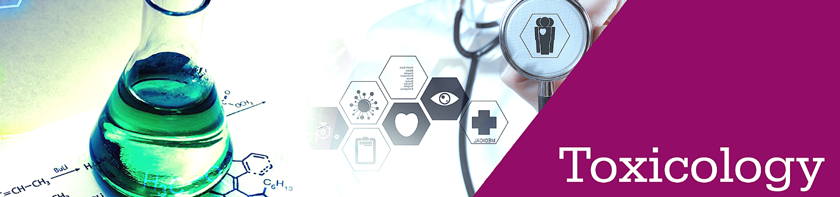 2nd World Congress and Expo on Toxicology and Pharmacology - Hotel Capannelle  Via Siderno, 37 - 00178 Roma (Italia)